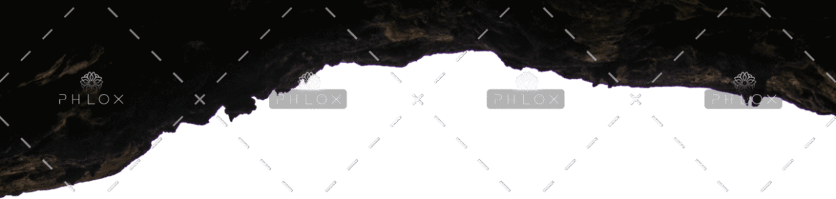 demo-attachment-297-Background-copy